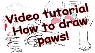 Tutorial  How To Draw Paws [upl. by Bruning]