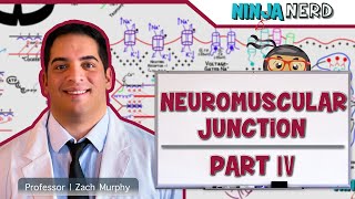 Musculoskeletal System  Neuromuscular Junction Pathologies Part 4 [upl. by Nywloc]