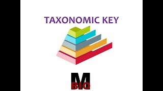 TAXONOMIC KEYBASIC FEATURES amp TYPES [upl. by Nylodnew]