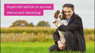 Petplan and Supervet Noel Fitzpatrick  Rehoming Animals [upl. by Moguel124]