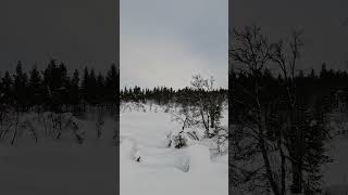 Saariselkä hiihtoladut Lappi Inari [upl. by Deach]