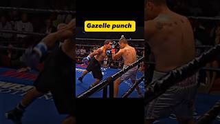 Gazelle punch tutorial Boxing knockouts boxing boxingtraining knockouts boxingcoach boxeo [upl. by Naret645]