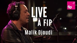 Live à fip  Malik Djoudi [upl. by Nagoh]