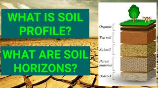 Soil Profile  Soil horizons [upl. by Oza714]