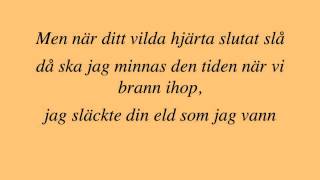 Stiftelsen  Vildhjärta lyrics [upl. by Gwenny]