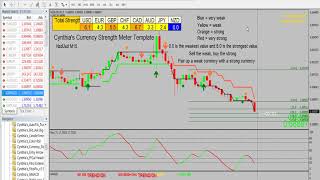 Introduction to Cynthias Currency Strength Meter Template  Currency Strength Meter Training [upl. by Gregson]