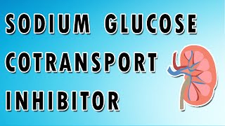 Sodium Glucose Cotransporter Inhibitors [upl. by Austin]