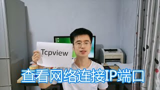 tcpview软件教程，实时刷新查看本机网络连接，进程IP端口协议 [upl. by Eimmac378]