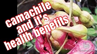 Camachile  UAE  Health Benefits of Camachile [upl. by Straus]