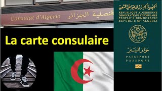 CARTE CONSULAIRE  البطاقة القنصلية [upl. by Gothart287]