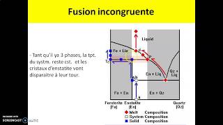 Diagramme de phase binaire incongruentolivinepyroxènequartz [upl. by Aleksandr225]