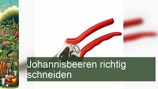 Johannisbeeren richtig schneiden [upl. by Domella]