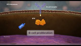 Mechanism of Brutons Tyrosine Kinase BTKMutations [upl. by Chaffee560]