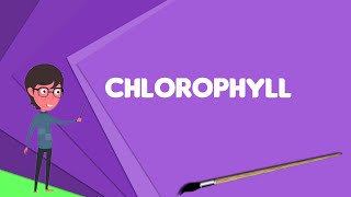 What is Chlorophyll Explain Chlorophyll Define Chlorophyll Meaning of Chlorophyll [upl. by Enyawed]