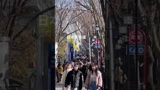 Fashion Street Omotesando Japan [upl. by Shira]