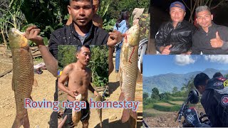 Roving Naga Homestay opening [upl. by Hploda964]