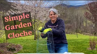 Simple DIY Garden Cloche 🐰 Gardening On Taylor Mountain 👩🏼‍🌾 [upl. by Enilarac]