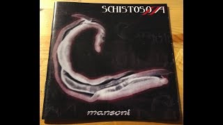 Schistosoma  Mansoni 2004 [upl. by Bobbi]