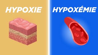 Hypoxie vs Hypoxémie Expliqué Simplement [upl. by Arten693]