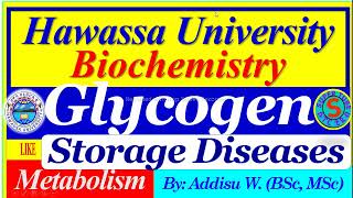 Glycogen Storage Diseases glycogenesis glycogenolysis glycogen metabolism [upl. by Yeneffit]