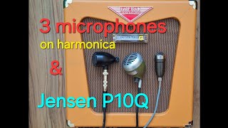 3 microphones on harmonica amp Lone Wolf Harp Train 10 amp Jensen P10Q [upl. by Divd]