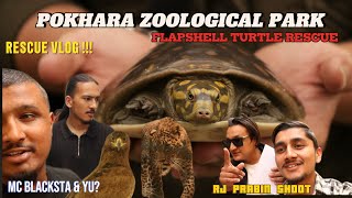 RJ Prabin Ko Ad Shoot   INDIAN FLAPSHELL TURTLE TRANSLATING  MC BLACKSTA  YU  ARSON  NIK 🐢 [upl. by Drida]