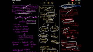 BURKHOLDERIA  RESPIRATORY SYSTEM  MICROBIOLOGY [upl. by Eeladnerb483]