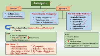 Androgens amp AntiAndrogens  Drugs  uses [upl. by Mellins]