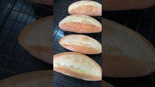 My baguettes at homereels cooking foryou recipe baking viralvideo fyp satisfying [upl. by Kcirrem792]