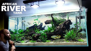 The African River Aquarium EPIC Aquascape Tutorial w Kribensis Cichlid amp Congo Tetra [upl. by Havens]