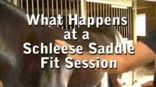 What Happens in a Schleese Saddlery Saddle Fitting Session [upl. by Damalis100]