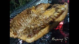 EP 14 INIHAW TIYAN NG ISDA  GRILLED RUBY SNAPPER BELLY [upl. by Hiltner921]