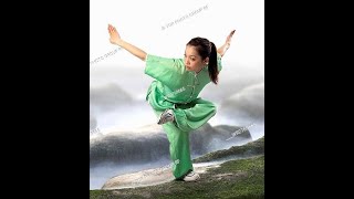 Grade vert kung fu adulte [upl. by Hashim]