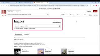 Artstor on JSTOR Searching for Images and Filtering Search Results [upl. by Aihsatal242]