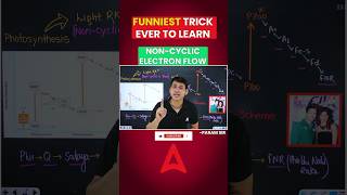 🔴 TRICK TO LEARN NON CYCLIC ELECTRON FLOW neet2024 ytshortsfeature shortsfeed trending [upl. by Staffan]