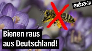 Besser leben ohne Bienen  extra 3  NDR [upl. by Lachus]