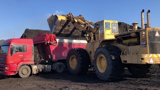 Old But Strong Caterpillar 992B Wheel Loader Loading Lorries With Two Passes  SGM Melidis [upl. by Liarret]