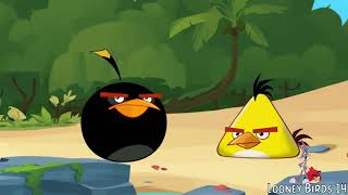 Angry Birds Parody Skit Screw Gravity [upl. by Lemaj900]