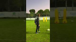 PIRLO  Class is Permanent [upl. by Josee533]