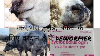 closantel Bolusoral Vet कब और कैसे करें उपयोग। closantelbolusvet closantelusehindi sheepgoat [upl. by Andreana]