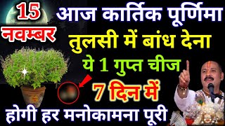 15 नवंबर कार्तिक पूर्णिमा के दिन तुलसी के पौधे में बांध देना ये 1 गुप्त चीज इतनाधनप्रप्तिकेउपाय [upl. by Ahcmis]