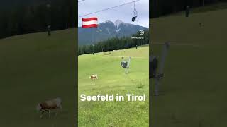 Seefeld in Tirol [upl. by Helbona]