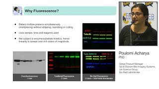 Quantitative Western Blotting How to improve your data quality and reproducibility [upl. by Neural]