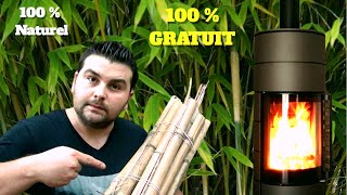 Le BAMBOU  bois de chauffage alternatif 100  gratuit [upl. by Aliekahs]