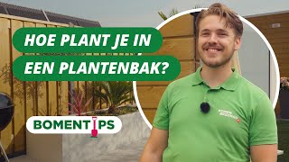 Hoe plant je in een grote plantenbak  BOMENTIPS 58 [upl. by Latreshia]