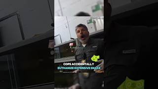 Coo accidentally euthanize expensive snake bodycam policecorruption snake entertainment shorts [upl. by Nirrok]