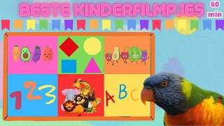 Beste Kinderfilmpjes voor Peuters en Kleuters💯 Alfabet❤️Cijfers💙Kleuren🧡Tellen💜Vormen💛Woordjes💚60MIN [upl. by Okram]