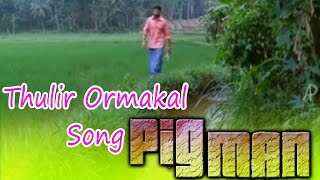 Pigman Malayalam Movie  Songs  Thulir Ormakal Song  Jayasurya  Ramya Nambeesan [upl. by Leinaj]