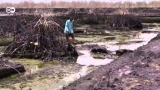 Nigeria Oil pollution in the Niger Delta  Global 3000 [upl. by Nelleyram]