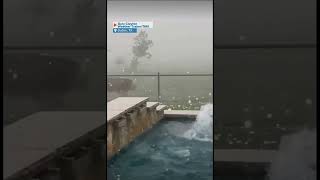 Cow runs as hail pelts Texas back yard [upl. by Maupin]